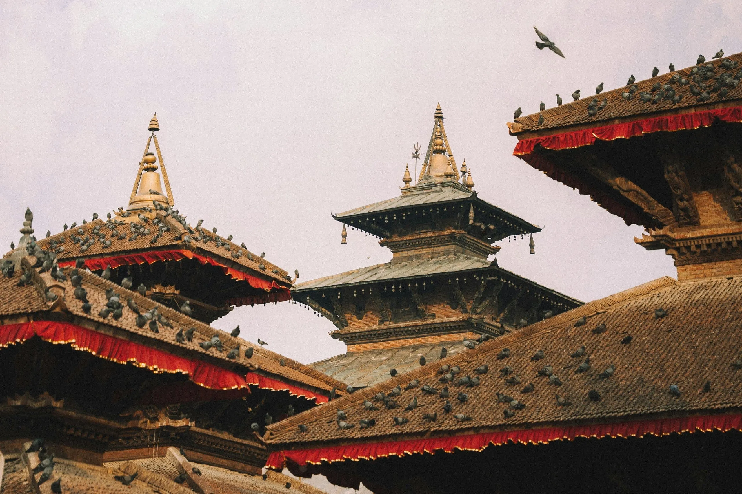 Layered pagoda rooftops of Kathmandu Durbar Square with pigeons perched along the ridges